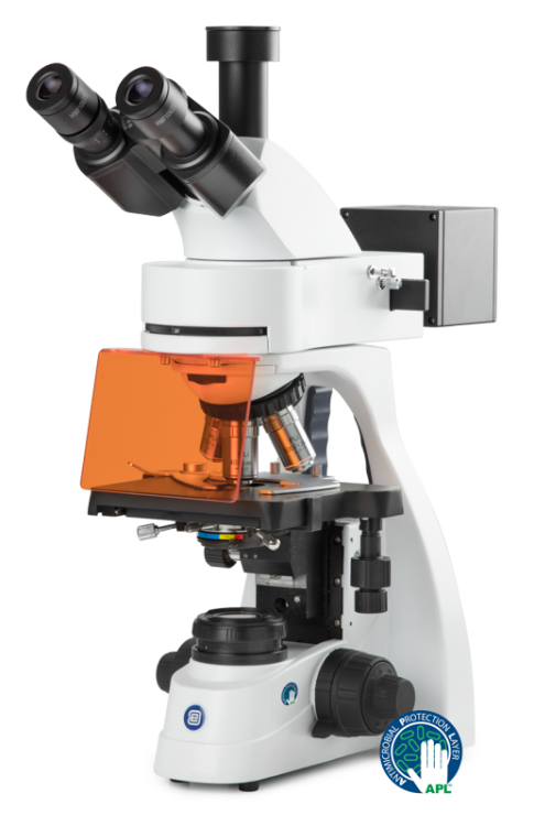 bScope fluorescence