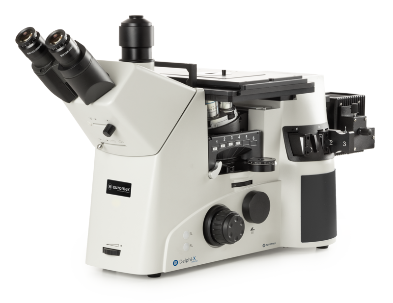 Delphi-X Inverso materials science