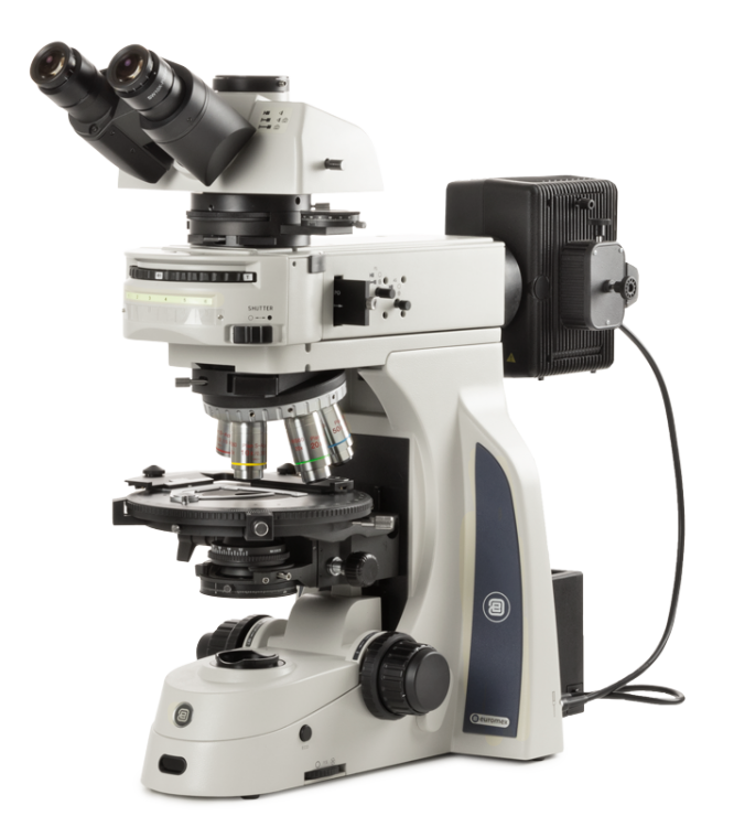 Delphi-X Observer polarization