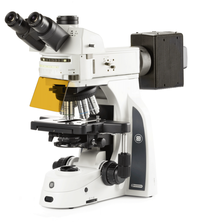 Delphi-X Observer fluorescence
