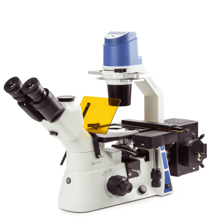 Oxion Inverso (fluorescence)