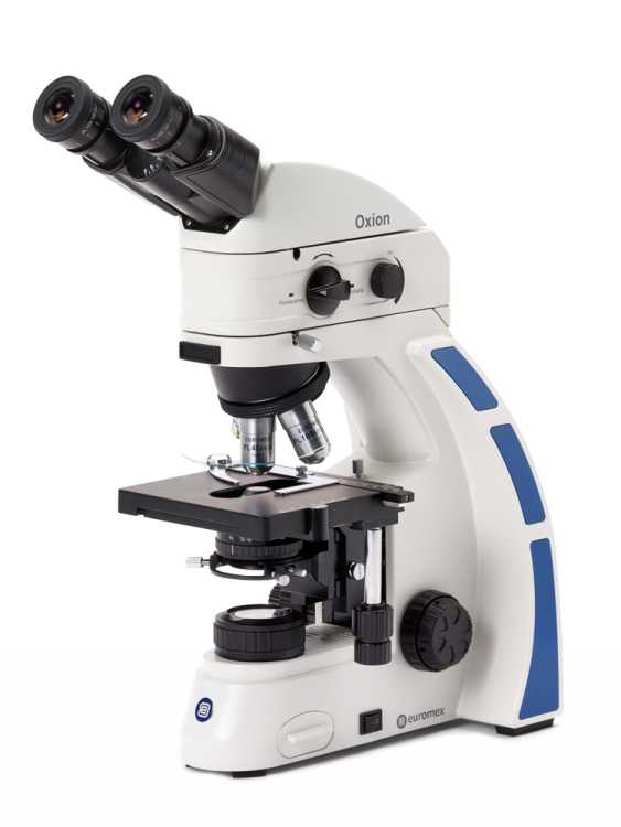 Oxion fluorescence